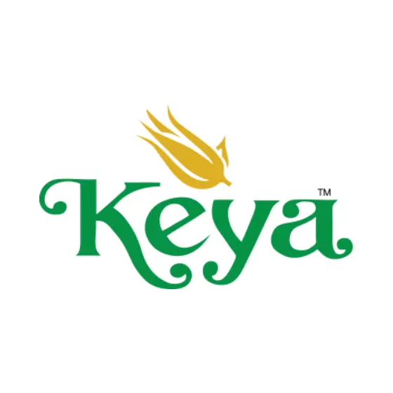 keya group logo